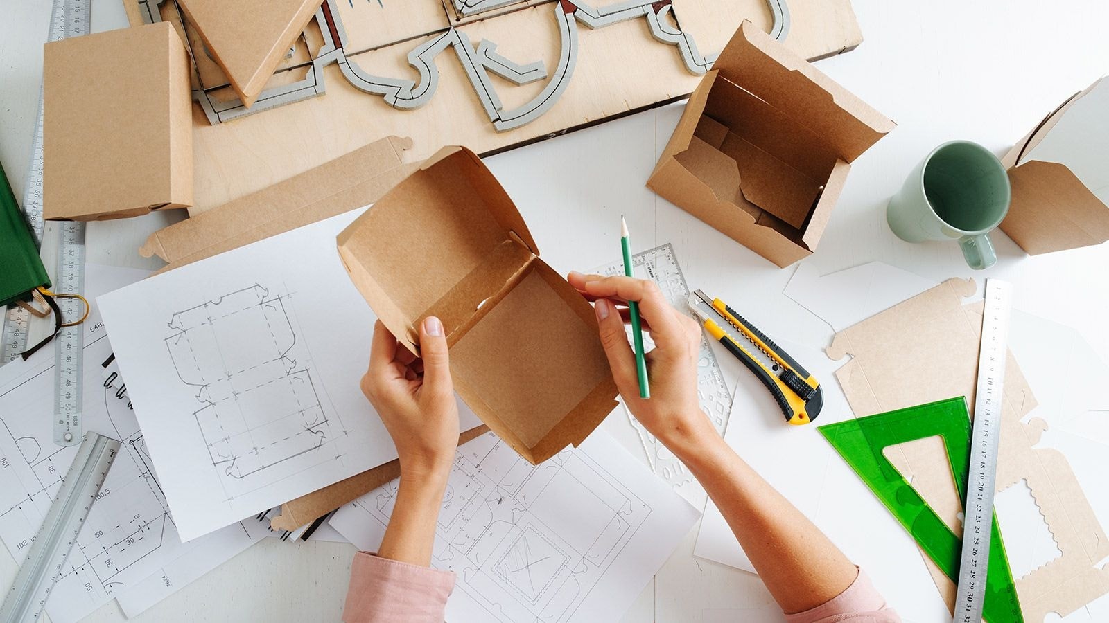 Fresh Organic Vegetables